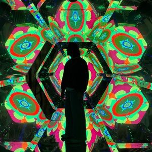 Meet your Posher, Payton